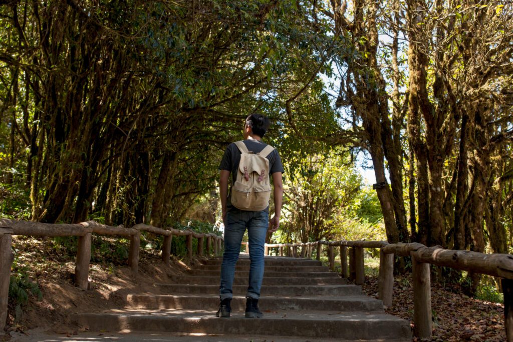 The Impact of Nature on Mental Health: Person walking in a peaceful forest for well-being